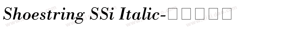 Shoestring SSi Italic字体转换